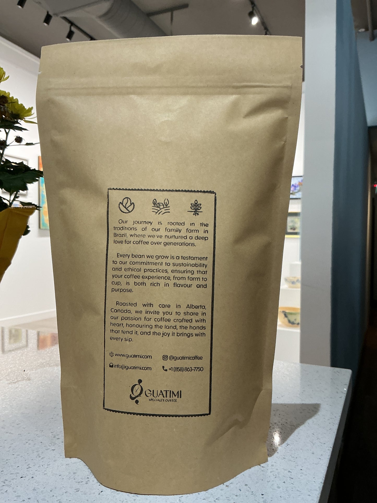 Brazilian Espresso Beans 12oz - Guatimi